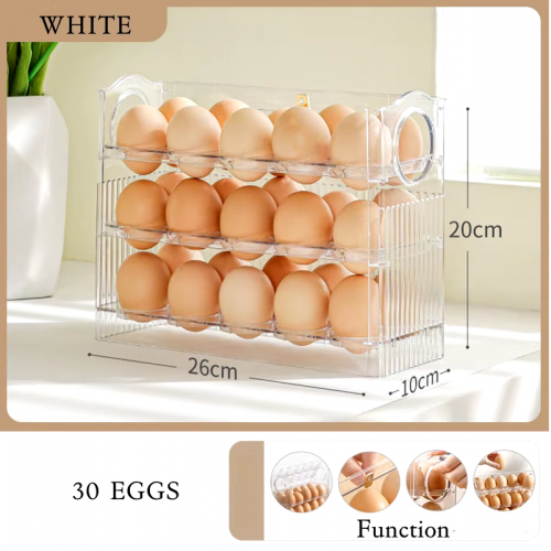 ORGADIZADOR DE HUEVOS DE PLASTICO